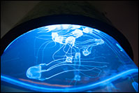 Традиционное Рэйки Микао Усуи Традиционное Рэйки Микао Усуи